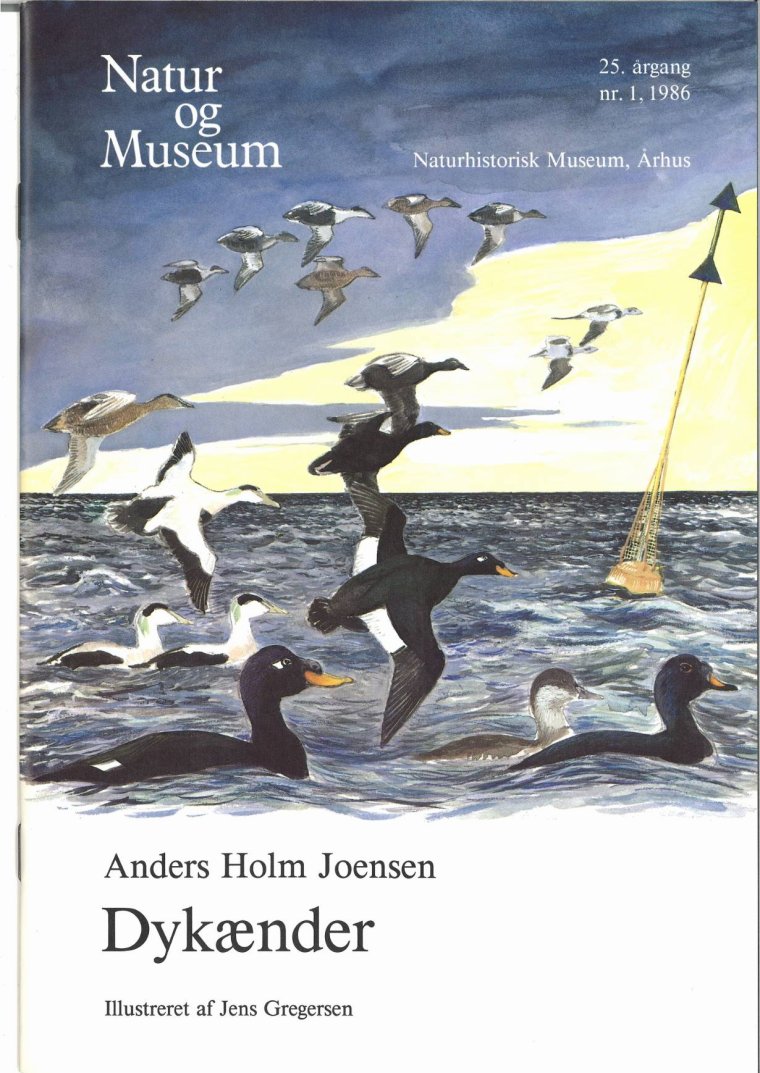 Dykænder
